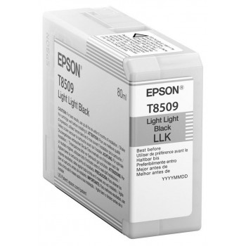 Картридж чернильный Epson T850 UltraChrome HD, C13T850900
