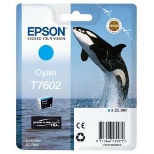 Cartuș de cerneală Epson T760 UltraChrome HD, C13T76024010