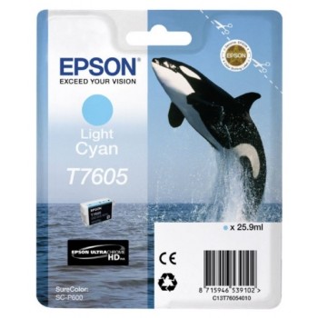 Картридж чернильный Epson T760 UltraChrome HD, C13T76054010 Картридж чернильный Epson T760 UltraChrome HD, C13T76054010