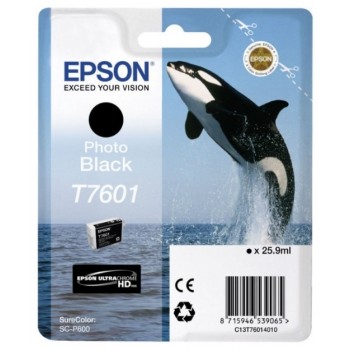 Cartuș de cerneală Epson T760 UltraChrome HD, C13T76014010