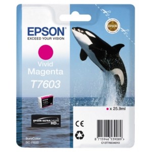 Картридж чернильный Epson T760 UltraChrome HD, C13T76034010 Картридж чернильный Epson T760 UltraChrome HD, C13T76034010