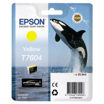 Картридж чернильный Epson T760 UltraChrome HD, C13T76044010