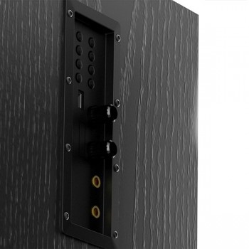 Sistem audio F&D T-60X