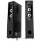 Sistem audio F&D T-60X