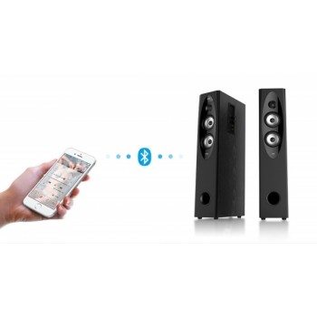Sistem audio F&D T-60X