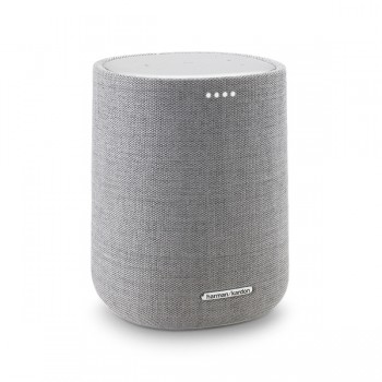 Портативная колонка Harman Kardon Citation One