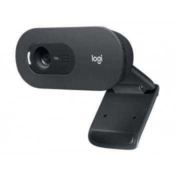 Веб-камера Logitech C505 HD, HD 720p