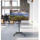 Мобильная стойка для телевизора Reflecta TV Stand 55P