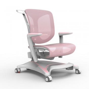 Детский стул Sihoo Q5A