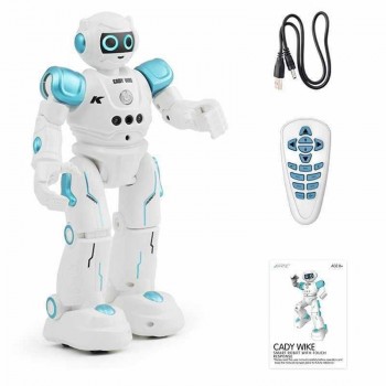 Радиоуправляемая игрушка JJRC Robot R11