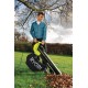 Пылесос Ryobi RBV3000CESV