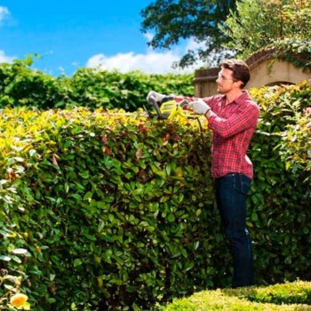 Mașină (Foarfece) de tuns gard viu Ryobi RHT5655RS