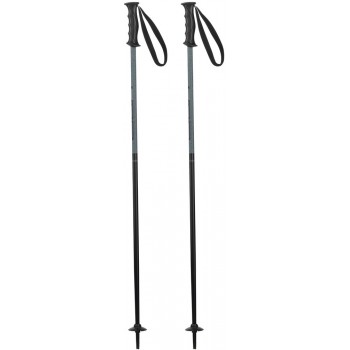 Bețe de schi Elan Hot Rod JR black