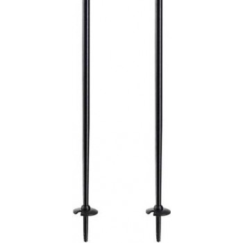 Bețe de schi Elan Speed Rod Black