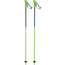 Лыжные палки Elan Speed Rod Green