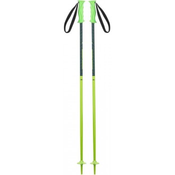 Bețe de schi Elan Hot Rod JR Green