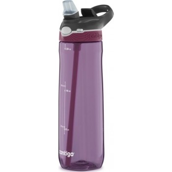 Фляга Contigo Ashland PassionFruit